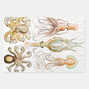 Octopus Squid, Gamochonia by Ernst Haeckel Wrapping Paper Sheet