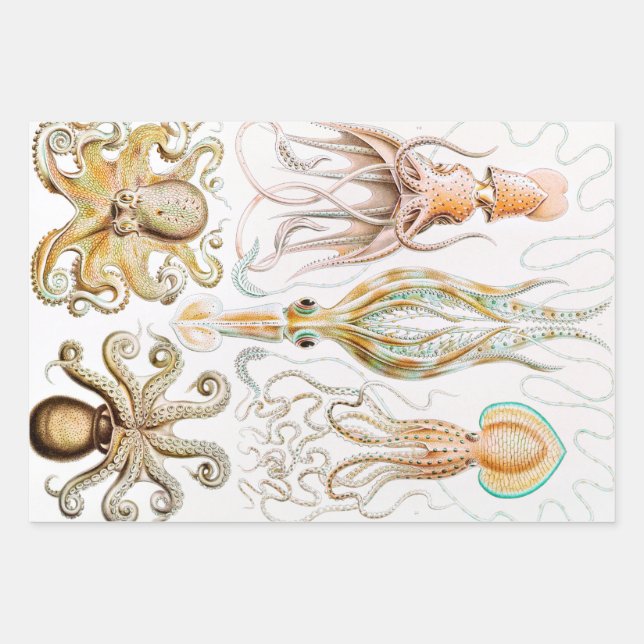 Octopus Squid, Gamochonia by Ernst Haeckel Wrapping Paper Sheet (Front)