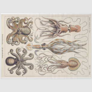 Octopus Squid Gamochonia Decoupage Tissue Paper
