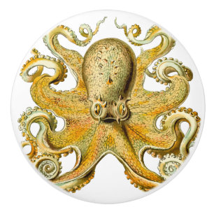 Octopus Squid Gold Ceramic Knob