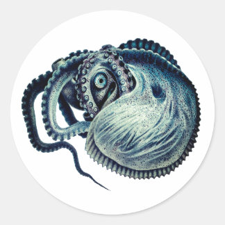  Octopus Squid Nautilus Argonaut  Classic Round Sticker