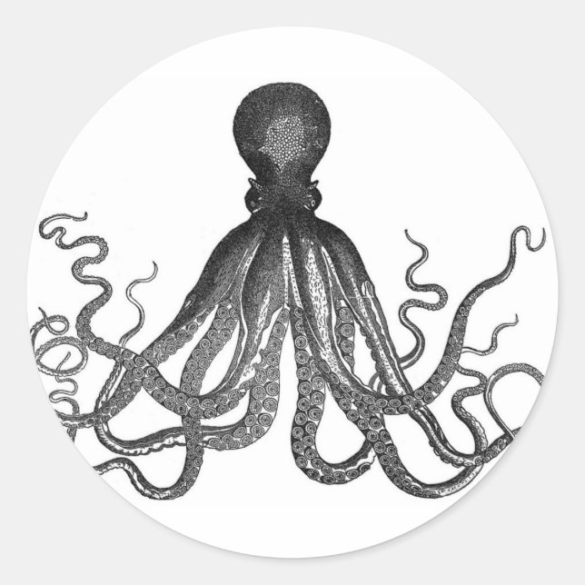 Octopus Stickers (Front)