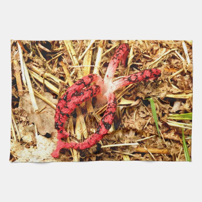 Octopus Stinkhorn Tea Towel (Horizontal)