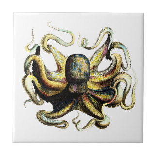 Octopus Tile