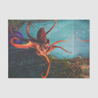 Octopus Tissue Paper