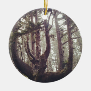 Octopus Tree, Cape Meares, Oregon Ceramic Tree Decoration