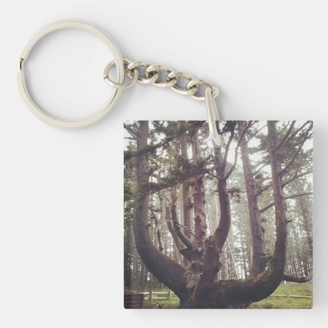 Octopus Tree, Cape Meares, Oregon Key Ring (Front)