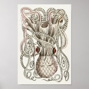Octopus Vintage Cephalopod Sea Creatures Art Print