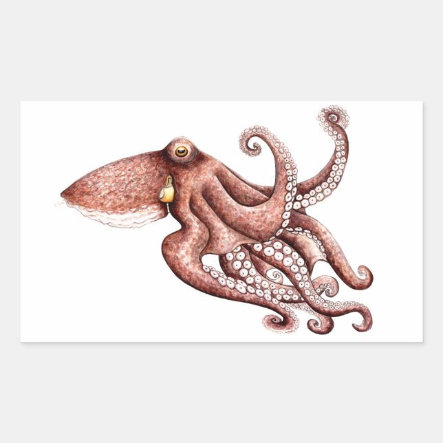 Octopus vulgaris rectangular sticker (Front)