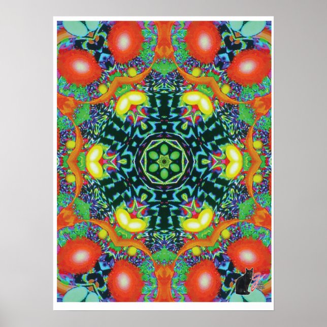 Ocular Kinetic Collage Kaleidoscope Poster (Front)