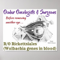 Ocular Oncologists/Surgeons R/O Wolbachia by Rose