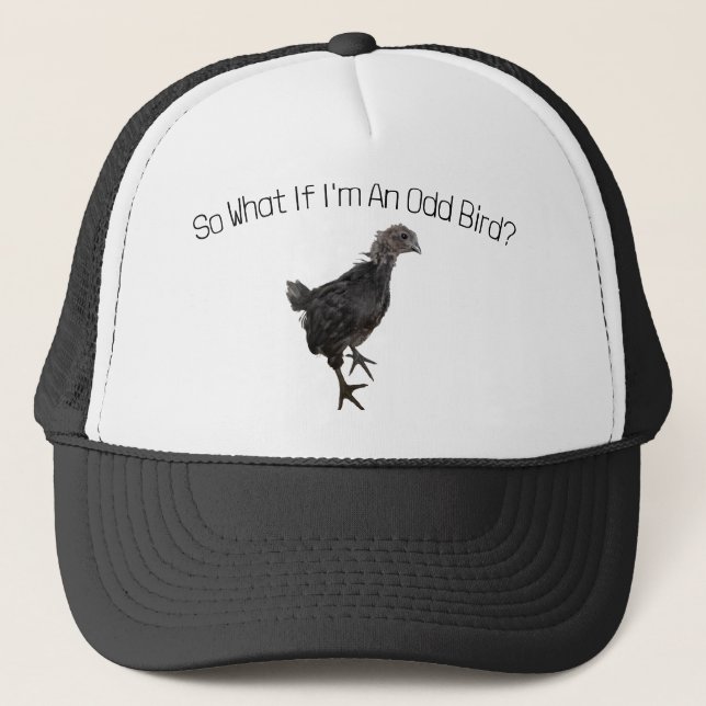 Odd Bird Hat (Front)