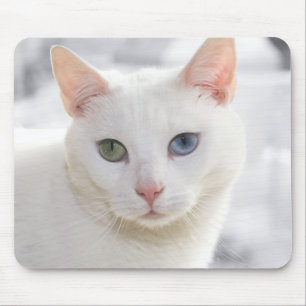 odd-eyed white cat close up face mouse mat