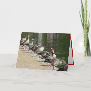 Odd Goose Christmas Card