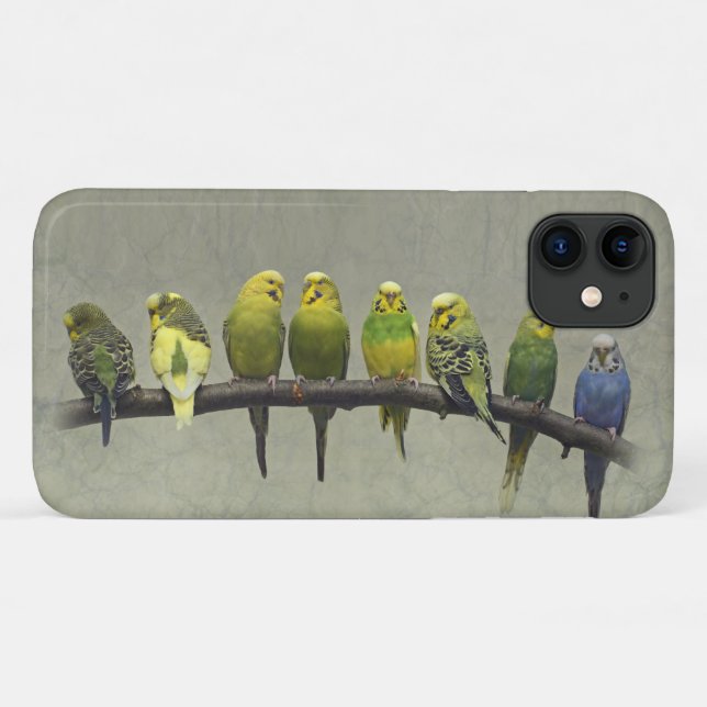 Odd One Out iPhone 11 Case (Back (Horizontal))
