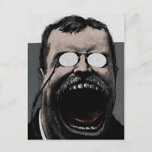 Odd Theodore Roosevelt Postcard