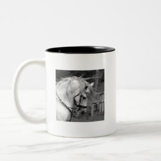 Ode to the Horse Two-Tone Coffee Mug