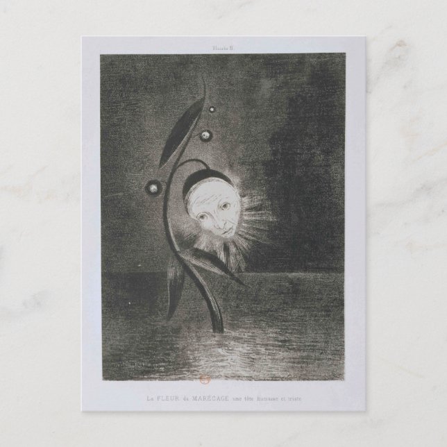 Odilon Redon- Flower of the swamp, a head human Postcard (Front)