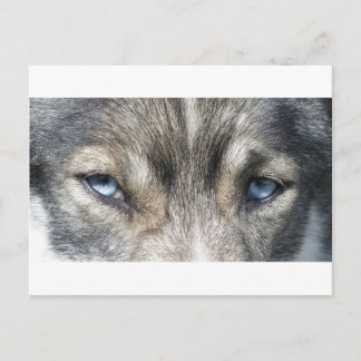 Odins Augen Postcard