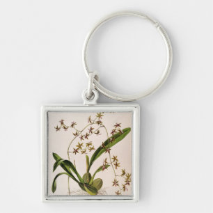 Odontoglossum Hastatum Key Ring