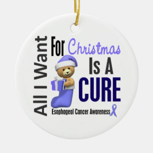 Oesophageal Cancer All I Want Christmas Ornaments