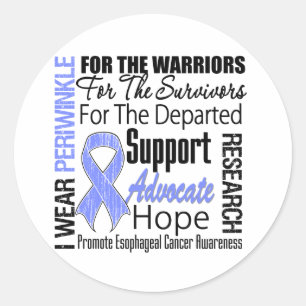 Oesophageal Cancer I Wear Periwinkle Ribbon Classic Round Sticker