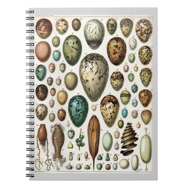 Oeufs - Adolphe Philippe Millot Notebook (Front)