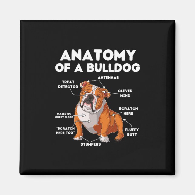 Of A Bulldog  Magnet (Front)