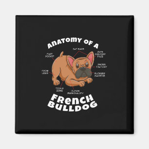 Of A French Bulldog Magnet