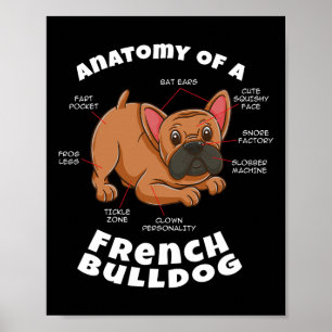 Of A French Bulldog  Poster