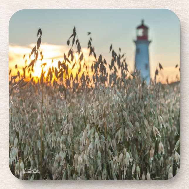 of a headlight in fields coaster (Front)