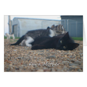 Of course I can anything Im a mother