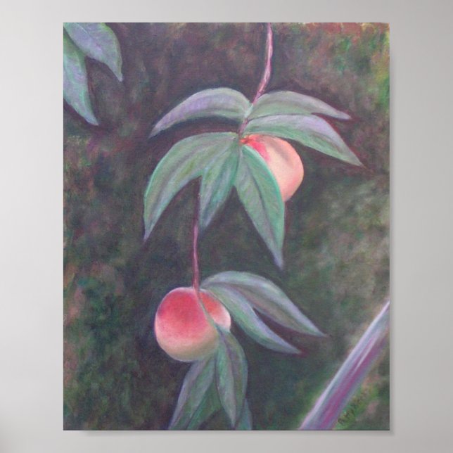OF FLORIDA PEACHES Poster (Front)