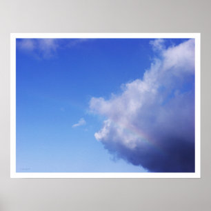 of pigs & rainbows poster