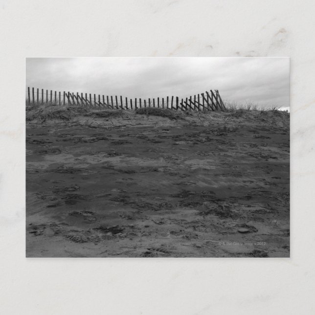 Off season postcard (Front)