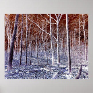 Off the Path version 2 Poster