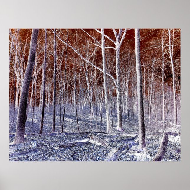 Off the Path version 2 Poster (Front)