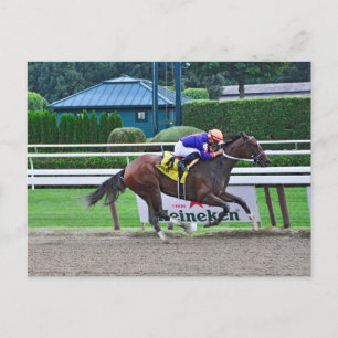 Off the Tracks by Curlin & Harve De Grace Postcard