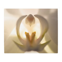 Off White Orchid Metal Wall Art