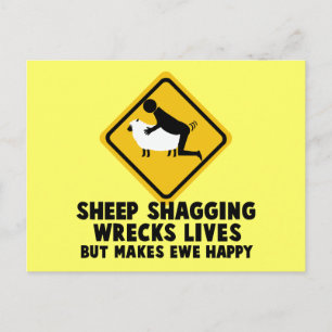 Offensive sheep postcard