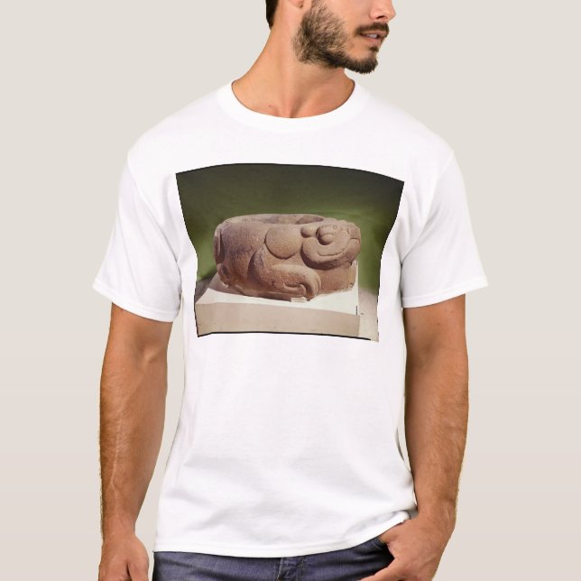 Offering vessel in the form of a giant toad, T-Shirt (Front)