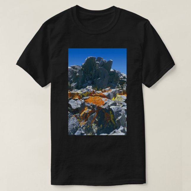Offerings Before the King nature art beauty T-Shirt (Design Front)