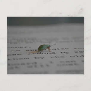 Office bug postcard
