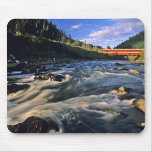 Office Covered Bridge the longest in Oregon at Mouse Mat