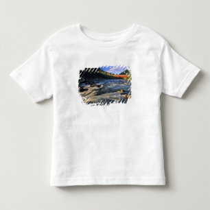Office Covered Bridge the longest in Oregon at Toddler T-Shirt