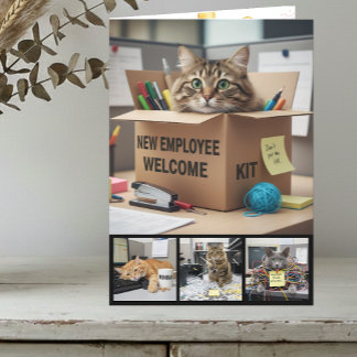 Office Fun Cats Photo Card, Business Cat Card