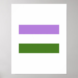 OFFICIAL GENDERQUEER PRIDE FLAG POSTER