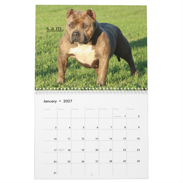 Official ROCK CITY KENNELS Calendar (Jan 2027)
