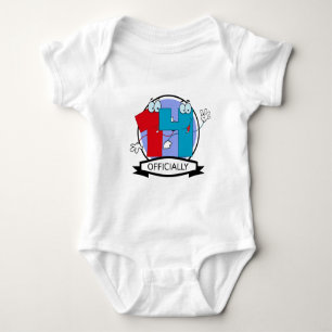 Officially 14 Birthday Banner Baby Bodysuit