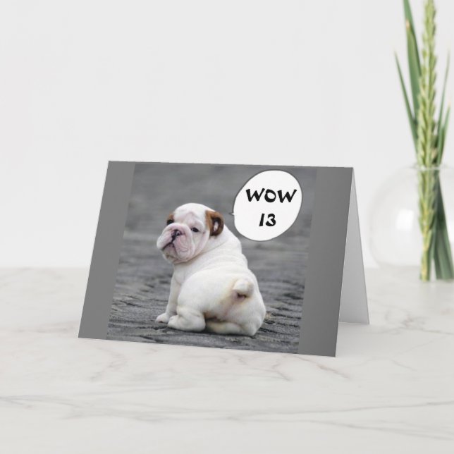 OFFICIALLY A ***TEENAGER*** 13th BIRTHDAY Card (Front)